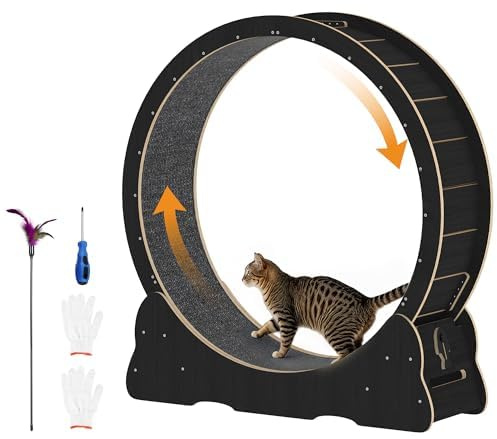 JFHID Cat Exercise Wheel for Indoor Cats, Quiet Large Cat Treadmill with Detachable Carpeted Runway & Lock, 46” Running Wheel for Pet’s Health and Entertainment, (Black, XL)