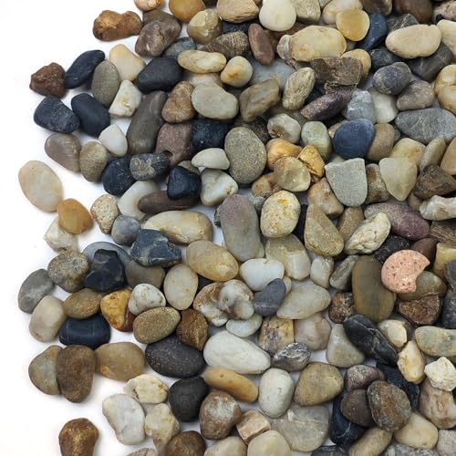 SHIZWU 5LB Decorative River Rocks Gravel - 2/5/'' Mixed Color Gravel for Vase Filling, Flower Pot Paving. Gravel for Garden Decoration,Landscaping,Aquarium Aquascape Gravel, Fish Tanks Gravel.