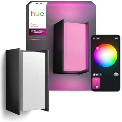 Philips Hue Turaco Outdoor wall Light, Anthracite, dimmable, Warm White Light, controllable via app, Compatible with Amazon Alexa (Echo, Echo Dot), new Generation