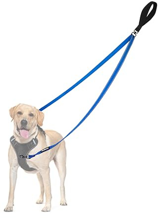 PetBonus Laisse Anti-Traction pour Chien, Double Laisse Anti-Traction réfléchissant, pour l'entraînement et la Marche, pour Chiens de Grande Taille et Moyenne (Bleu)