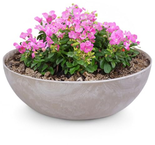 Matches21 Pot de fleurs pour l'extérieur – Grand bac décoratif vintage sable beige marbré comme pot de fleurs – 45 x 13 cm comme bain d'oiseaux, décoration de balcon ou de cimetière