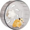 Hamsterrad,13 cm Silent Laufräder Hamster Rad Hamster Übungsräder Haustiere Laufsport Joggingrad Spinner-Übungslaufrad für Hamster, Rennmäuse, Mäuse oder andere Kleintiere