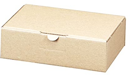 100 Maxibriefkartons 160 x 110 x 50 mm braun (100 Stück) Maxibrief Versandkarton Warensendung