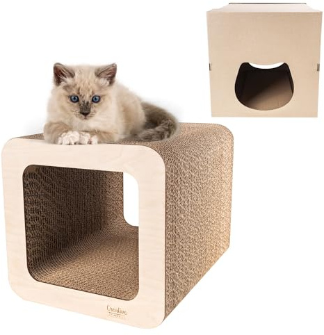 Creative Pets Griffoir pour Chat 37 x 30 x 30 cm + Maison en Carton | Grattoir Chat Renforcé avec du Contreplaqué | Grand Carton à Gratter pour Chats | Protège Vos Meubles