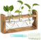 ELLECILA Glass Propagation Station for Plant: Heart Small Flower Vase with Vintage Wooden Frame Set, Propagators for Plants, for Green Water Plants Fit for Home Kitchen Table Desk Indoor Decor