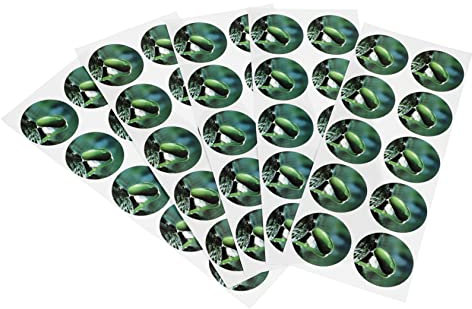 BESPORTBLE Self-Adhesive PVC Seed Pot Labels for Hydroponic Plants, 50pcs Round Stickers for Seed Growth, Gardening Supplies for Soil-Free Planting and Plant Marking