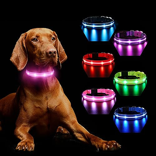 Hundehalsband Leuchtend Aufladbar, Leuchthalsband Hund 7 RGB Farbwechsel mit 8 Leuchtmodi, Verstellbare LED HundeHalsband Wasserdicht für Kleine Mittlere Große Hunde Leuchtendes Halsband, Rosa M