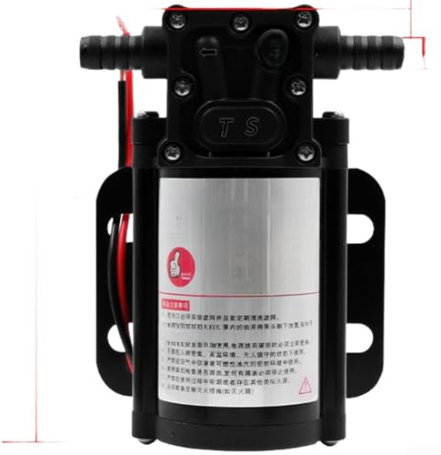 Pompa elettrica autoadescante 12V 24V per diesel per il trasferimento dell'acqua e del combustibile con il materiale della lega di alluminio