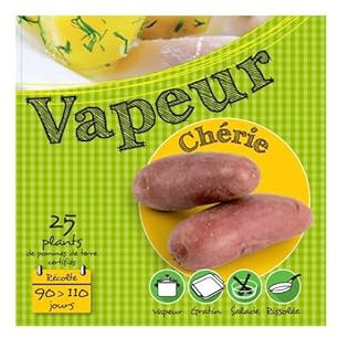 Chérie (Chair rose) 25 Plants de pomme de terre