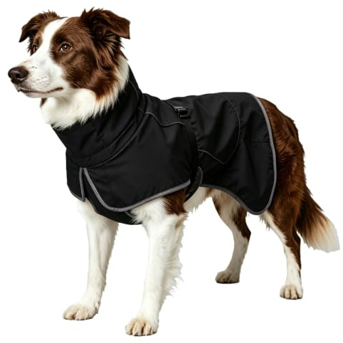 Waterproof Dog Raincoat, Windproof Rain Jacket with Leash Hole & Velvet Lining for Outdoor Windy Weather, Breathable Full-Body Coverage Dry Suit Coat (Black, L)
