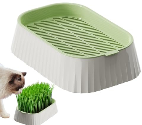 Fangfhai Coltivatore di per gatti | Vaso per per animali domestici | Contenitore idroponico a doppio strato, strumenti per piantare di grano germinazione vivaio per gattini