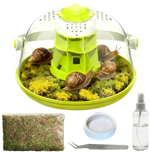 Snail Terrarium Kit Insect Enclosure Bug Terrarium Observation Container Praying Mantis Habitat Breeding Box Micro Habitat Starter Kit for Beetles Spider Small Reptile