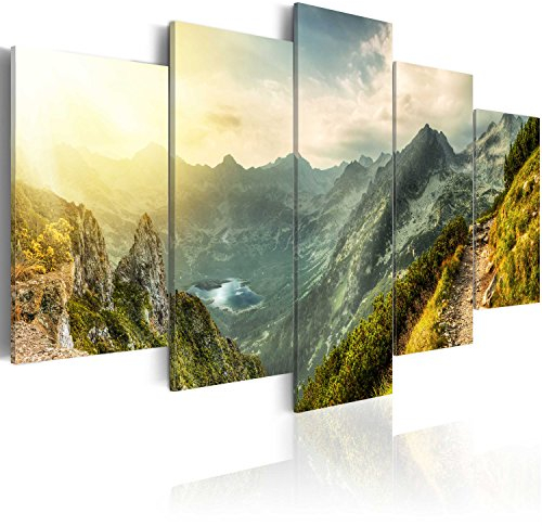 B&D XXL - Akustikbild Landschaft Gebirge 5 tlg Bilder Akustikschaum Schallschutz Wand Deko Akustikpaneele Wandpaneele Schalldämmung Wandbild Schallabsorber Akustikplatten Natur Berge c-B-0037-b-m