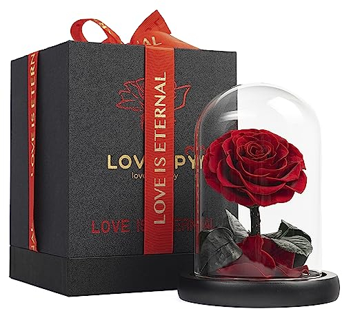 LOVAPPY Eternal Enchanted Forever Preserved Rose - Infinity Rose in Glass Dome - Made from Real Fresh Beauty Rose - Romantic Gifts for Female - Valentines Day - Gift for Mom (Red, 16,5 cm)…