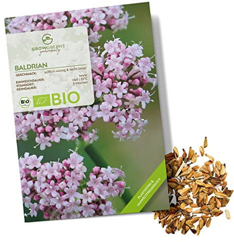 BIO Baldrian Samen - Heilkräuter Saatgut aus biologischem Anbau ideal für den heimischen Kräutergarten, Balkon & Garten (200 Korn)