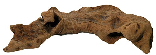 Lucky Reptile OW-M Opuwa trä medium, M