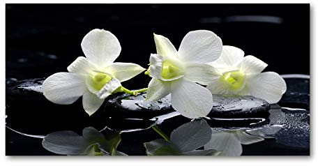 Tulup Glas-Bild Wandbild aus Glas - Wandkunst - Wandbild hinter gehärtetem Sicherheitsglas - Dekorative Wand für Küche & Wohnzimmer 100x50 - Blumen & Pflanzen - Orchidee - Weiß