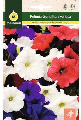 Mascarell Semillas, PETUNIA GRANDIFLORA VARIADA, Semillas Flores Exterior para Decoración, 0,3 Gramos