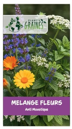 100 graines melange fleurs anti moustiques -anis -mélisse -basilic - nepeta ... éloigne les moustiques