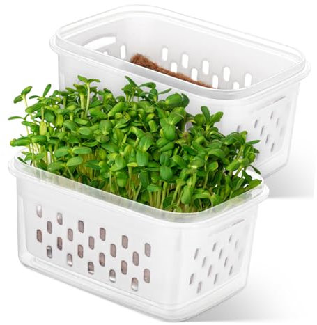 ibasenice 2 Pièces Lot de Pots de Germination Transparent Drainage Conteneurs pour Semis Cultures Sol pour Plantes Fleurs