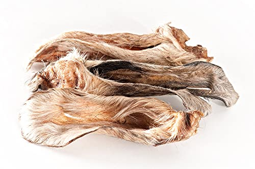 mascota vital - Getrocknete Lamm-Ohren mit Fell für Hunde – 100% natürlich & ohne Zusätze – leicht verdaulich, gut bekömmlich, gesunder Kausnack & natürliche Darmreinigung (Lamm-Ohren mit Fell)