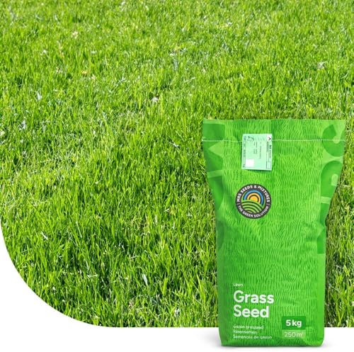 Turbo Green: Semence Gazon Regarnissage | 5 kg - 250 m² | Germination rapide | Gazon dense et bien vert | Grande tolérance au piétinement