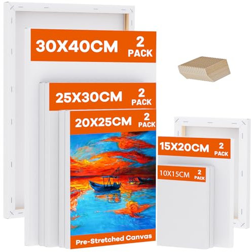 Koncci Leinwand zum Bemalen, 10 Stück 5 Größe Keilrahmen,10x15, 15x20, 20x25, 25x30, 30x40cm(je 2 Stück), 280g/m² Dreifach Grundiert Baumwolle Leinwand, Leinwände für Acrylfarbe, Aquarell, Öl, Gouache