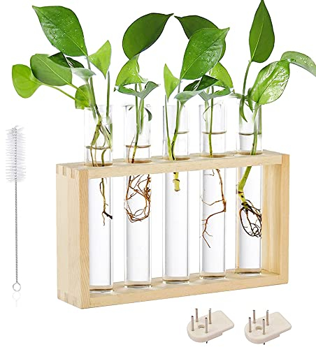 Verre Tube à Essai Vase, Vase Hydroponique, Vases en Verre Hydroponique, Vases Tube à Essai, pour Propagation Plantes Hydroponiques, Décoration Domicile, avec Support en Bois (5 Éprouvettes)