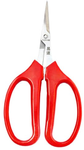 Toyvian 2 Piezas Tijeras De Frutas y Verduras Tenedor De Jardín Herramientas Podadoras De Jardín Herramienta De Flores Herramienta De Arreglo Floral Acero Inoxidable