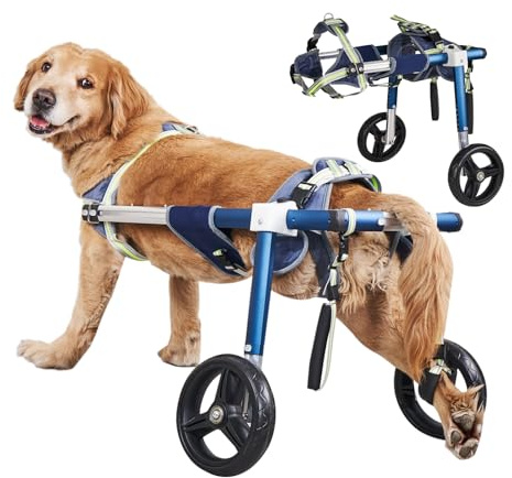 YURUX Adjustable Dog Wheelchair for Back Legs,Dog Cart for Medium/Large Dogs 13-30in Long, 35-88 lbs Disabled or Injured,Aerospace Aluminum, Anti-Slip Wheels (L)