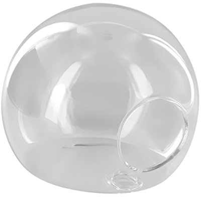 Hängevase Kugel Wand Glas Blumenvase Dekovase Pflanze Hanger Dekoration Ø 10,5 cm