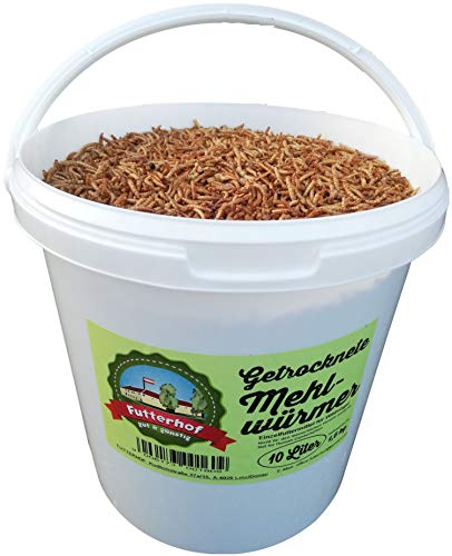 Futterhof getrocknete Mehlwürmer 10 L Eimer (= 1,65 kg), Premium Qualität