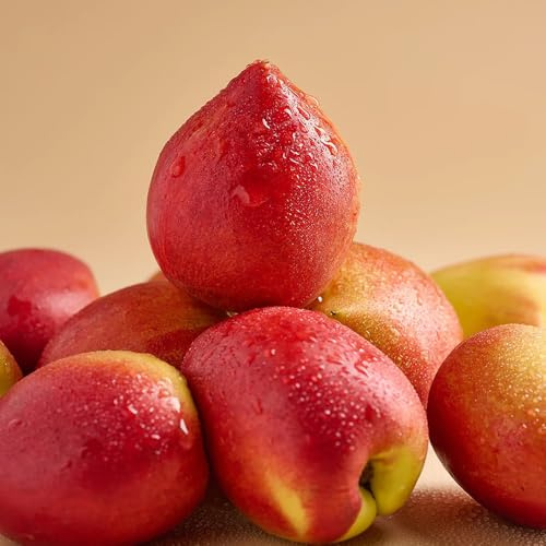 Semillas de nectarina, columnar resistentes de exterior balcón variedades antiguas semillas raras resistentes para el jardín 10pcs