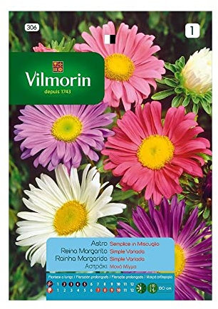 Semillas de REINA MARGARITA SIMPLE VARIADA S-1, 0,8 gr