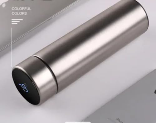 Botella inteligente de acero inoxidable con pantalla táctil LCD, aislada, para bebidas calientes y frías, con capacidad para 450 ml. Válida para café y té. (PLATA)