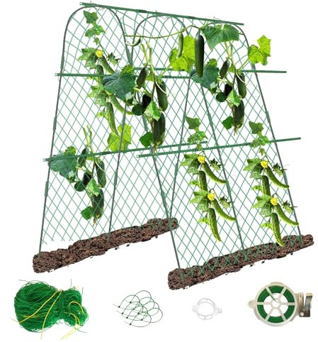 STFALI Treillis Plante Grimpante Exterieur, Treillis Jardin,Support Plante Grimpante, Légumes Et Plantes Grimpantes, Fleurs Et Plantes Fruitières, 160 X 140 X 120cm