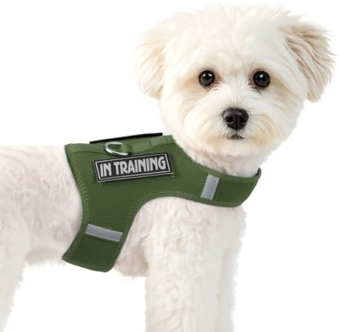 Harnais pour Chiots de Petite Taille, Taille réglable + 2 Bandes Velcro