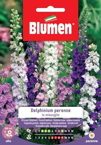 SEMI DELPHINIUM PERENNE MIX BLUMEN