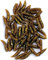 blntackle76 Set: 2 Packungen (insgesamt 80 Stück) von Behr Kunstmaden Bronze braun Glitter