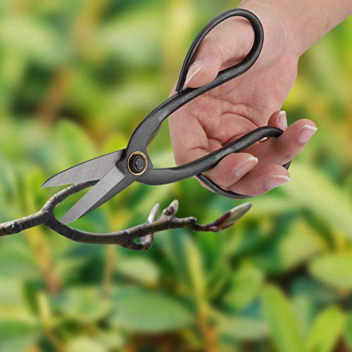 190mm Bonsaï Ciseaux Acier Inoxydable, Élagage Ciseaux Bourgeon Feuilles Jardin Outils Trimmer Cisailles de Jardin Ciseau à Plante Ciseaux à branches Bonsai Outils (200mm)