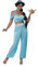 California Costumes, Klassische arabische Prinzessin, Erwachsene S, Jade