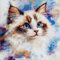 WallustrioaW Kit de Coussin avec Crochet à Loquet Animaux mignons,chat siamois,Kit Coussin au Point Noué,création de Tapis et Canvas,Kit Tapis Point Noué,43x43cm