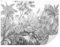 TAPEKO Papier Peint Panoramique Elégant Tropiques 260x180 cm Jungle style en noir et blanc couleur Papier Peint intissé pour Chambre Salon Décoration Murale u99099