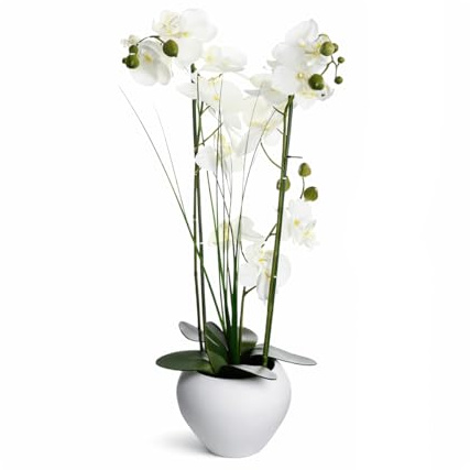 Orquídea artificial (Phalaenopsis) 53 cm con maceta de cerámica blanca – flores blancas realistas & hojas verdes – planta artificial de fácil mantenimiento para salón, dormitorio, cocina – Blanco