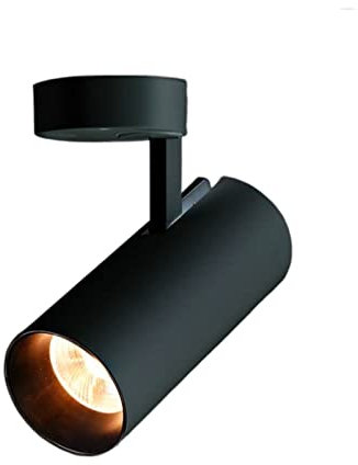 Lampada per quadri con telecomando Faretto a LED da 7W Plafoniera a plafoniera girevole a 360 gradi in stile nordico a plafoniera Home Store Luci per pittura a LED senza fili per interni(Color:4000K,S