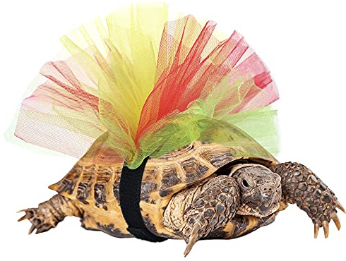 Tutu per tartaruga, costume per animali domestici, tartaruga, decorazione regalo creativo