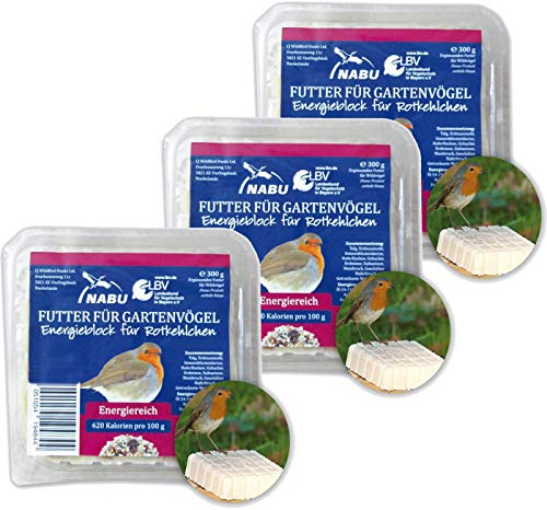 CJ Wildlife Energieblock für Rotkelchen und andere Wildvögel mit Mehlwürmer, Sparpack 7 x 300 g