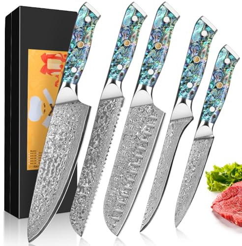 Set di 5 Coltelli Damasco, con Lama da 12.4cm-20cm Composto da 67 Strati di Set di Coltelli da Cucina in Acciaio Damasco VG-10 Coltello da Carne in Damasco, Manico in Conchiglia di Abalone
