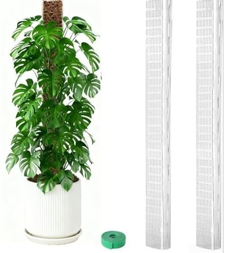 Palo per muschio in plastica con profilo a D, 61 cm, per interni per piante rampicanti come Monstera Deliciosa e Filodendro (2 pezzi)