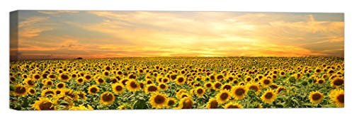 LuxHomeDecor QUADRO CAMPO DI GIRASOLI 100x30 cm Stampa su Tela con Telaio in Legno Arredamento Arte Arredo Moderno